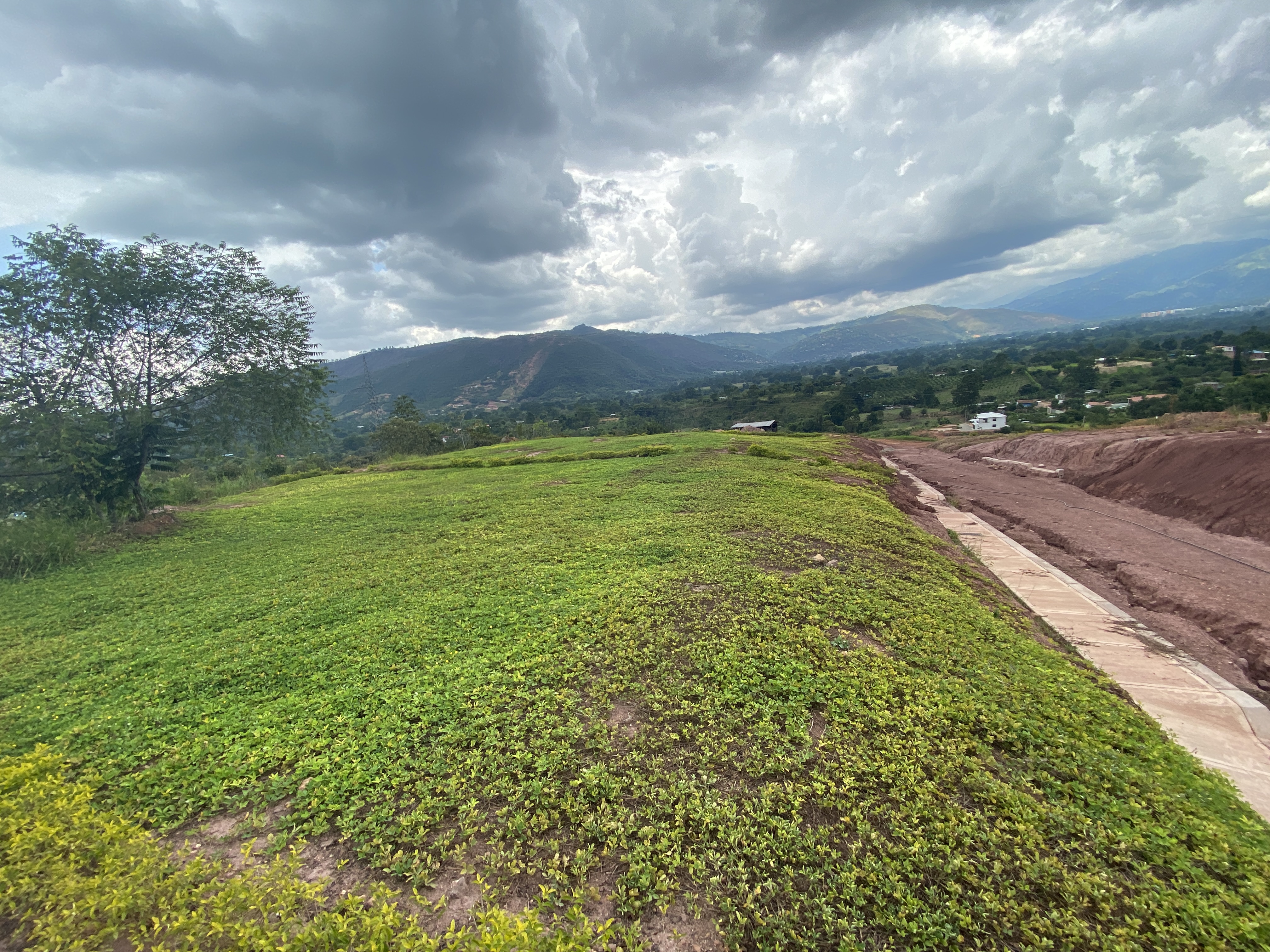 Lote Bosque