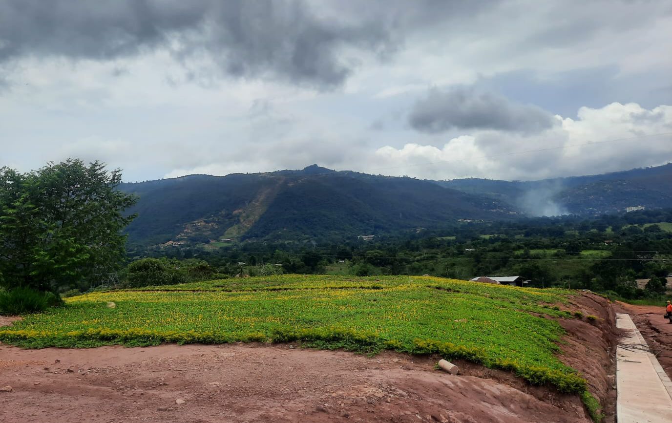 Lote Bosque