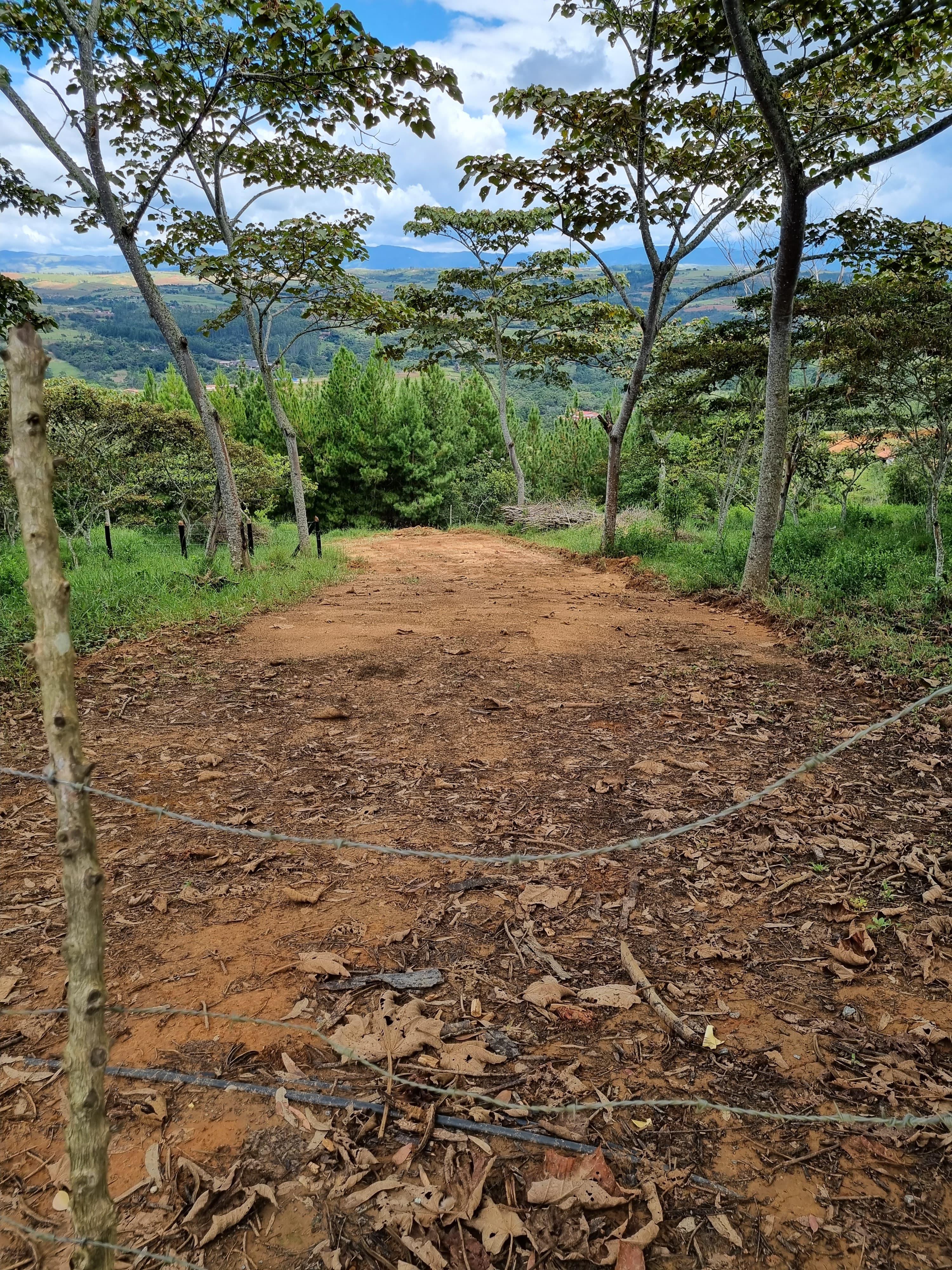 Lote Barichara