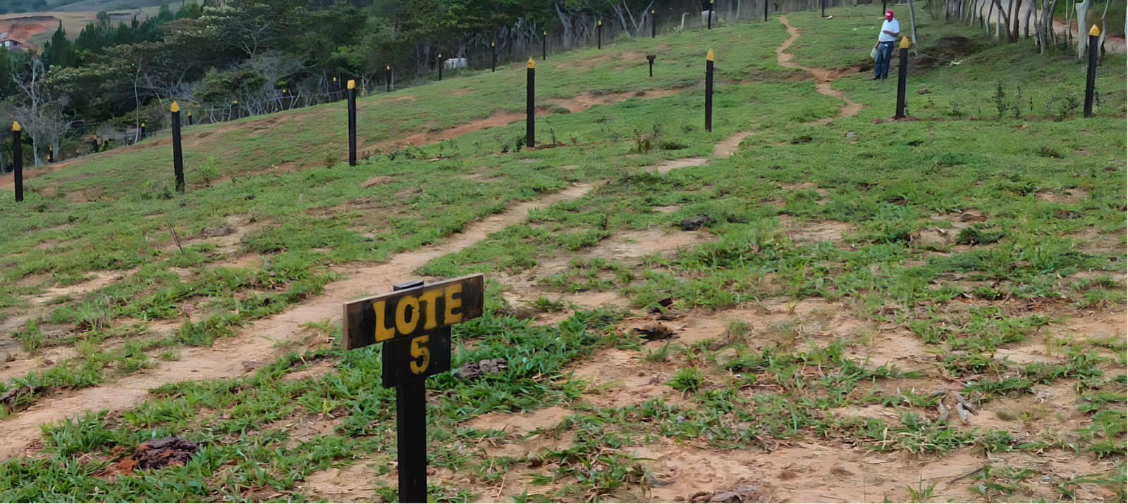 Vías