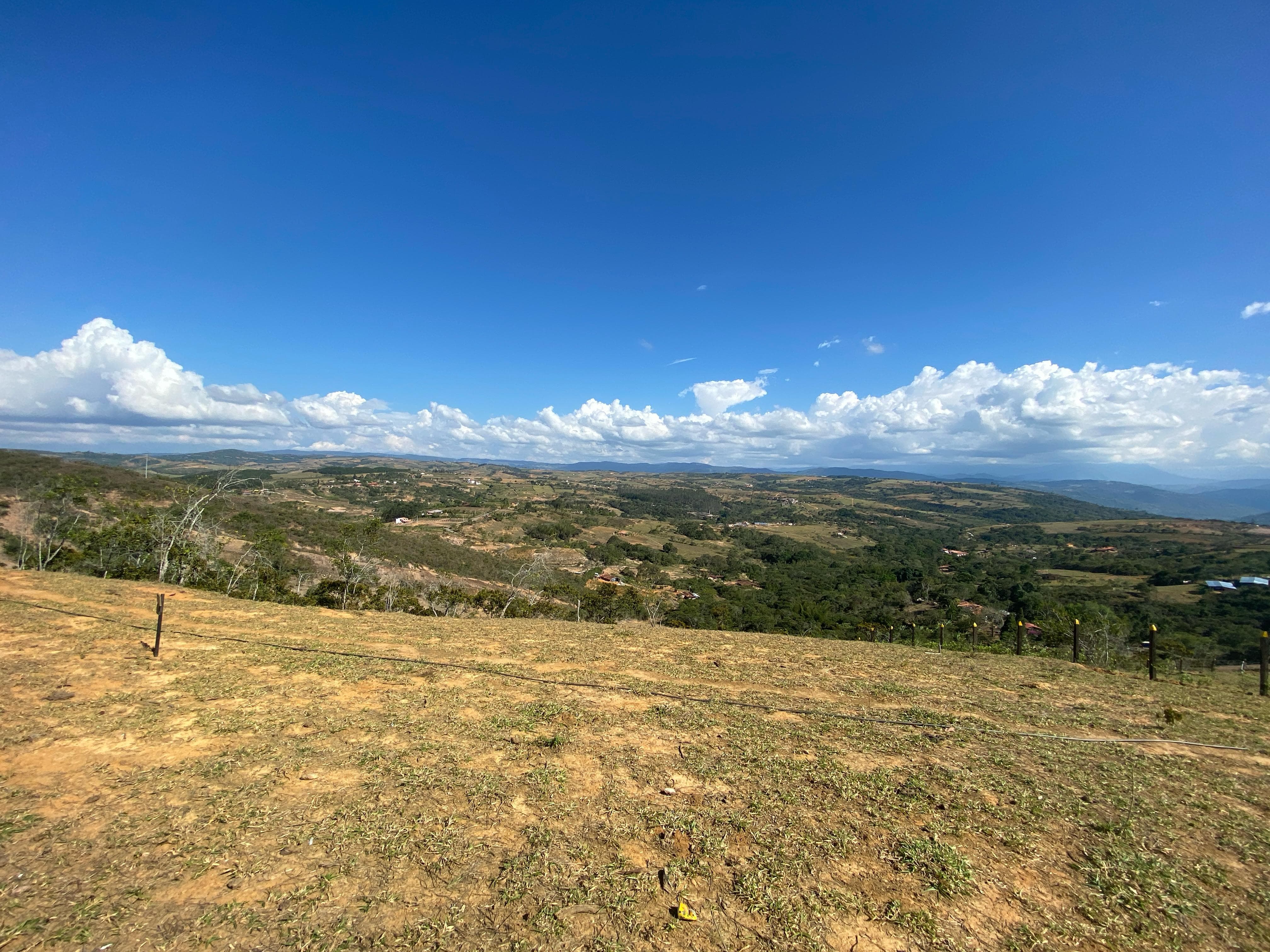 Vista panorámica