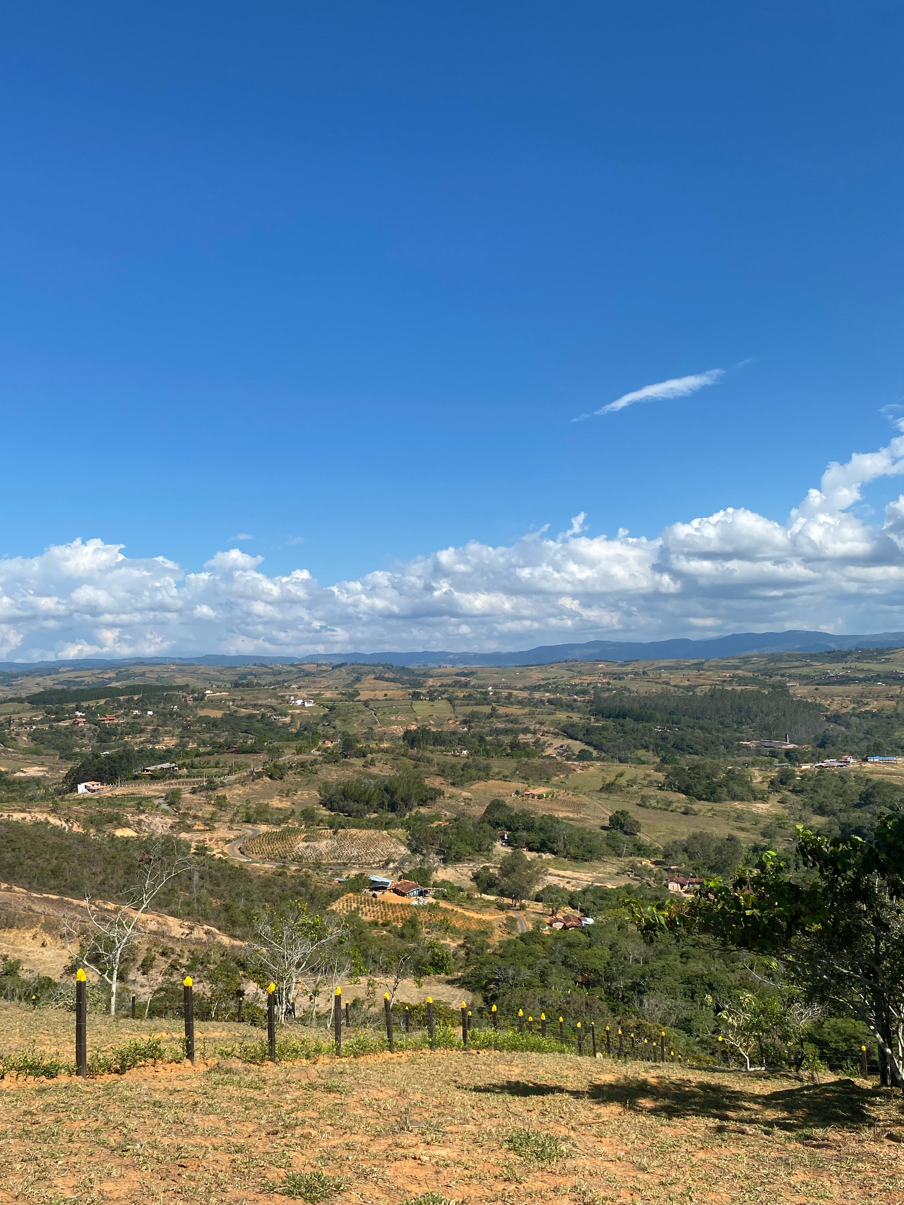 Campo